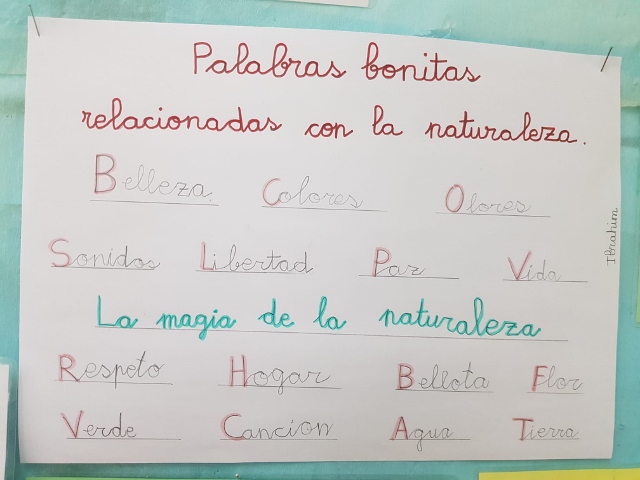 Palabras bonitas