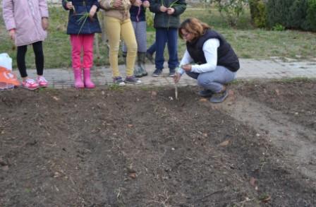 Huerto plantación